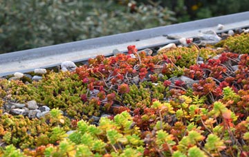 the cost of West Chadsmoor green roof installation