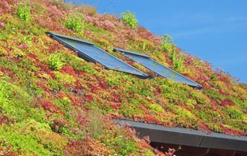 West Chadsmoor living roof systems